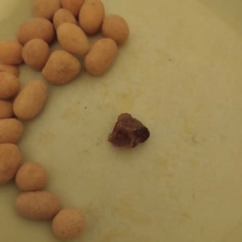 Gold Harvest Kuruyemiş Şok Amigo Soslu Cips Fıstık İçinde Sert Bilinmeyen Parça