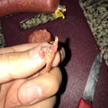 Beşler Sucuk Ve İçindeki Canavar