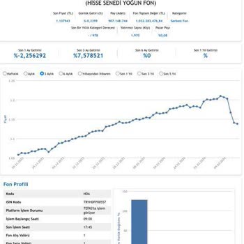 Hedef Portföy Yönetim Hedef Portföy Hda Fonu Yatırımcısına Zarar Ettirdi