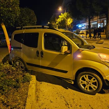 Koru Sigorta Trafik Sigortası Koru