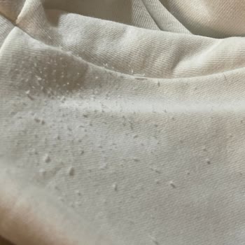 Stradivarius Hayal Kırıklığı Yaşattı Maalesef