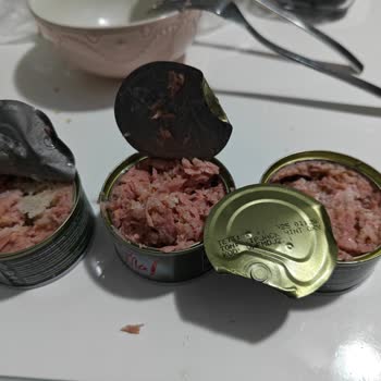 Dardanel Ton Balık Konservesi İçinde Beyaz Toplar Ve Beyaz Lekeler