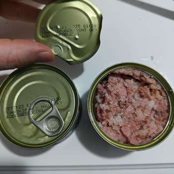 Dardanel Ton Balık Konservesi İçinde Beyaz Toplar Ve Beyaz Lekeler