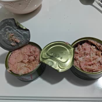 Dardanel Ton Balık Konservesi İçinde Beyaz Toplar Ve Beyaz Lekeler