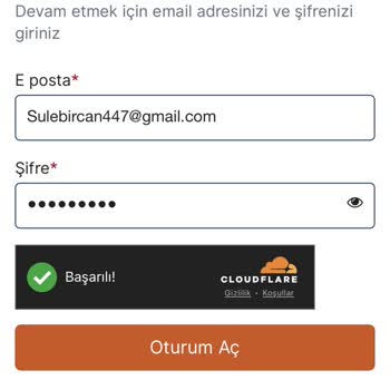 VFS Global Giriş Sorunu Yaşıyorum