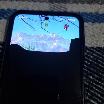 Samsung Z Flip 5 Ekran Sorunu