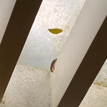 Siamtur Siam Tur Tam Bir Hayal Kırıklığı Yaşattı
