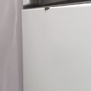 Vestel Buzdolabın Paslanması Pas