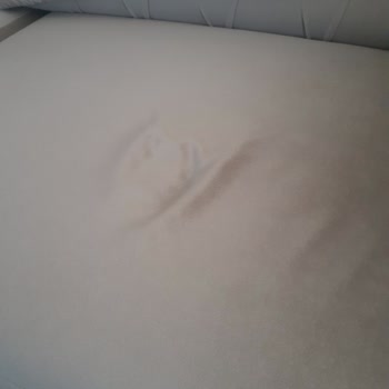 Bellona Valesco Koltuk Şikayeti