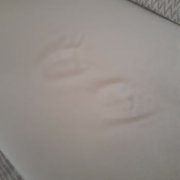 Bellona Valesco Koltuk Şikayeti