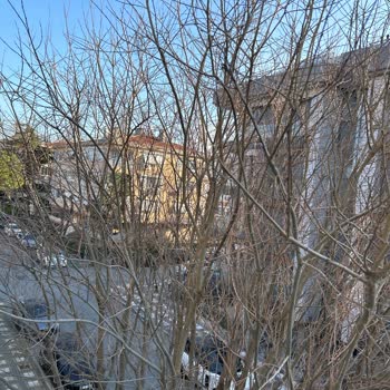 Bakırköy Belediyesi Ağaç Budama Gelmiyor Telefonları Açmıyor