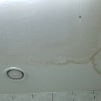 Dr. Siyami Ersek Göğüs Kalp Ve Damar Cerrahisi Eğitim Ve Araştırma Hastanesi Bakımsız