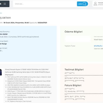 Sinerji Bilgisayar Güvensizliği