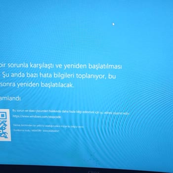 Sinerji Bilgisayar Güvensizliği