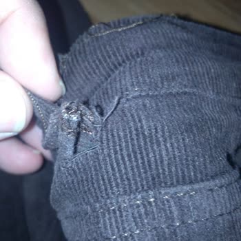 DeFacto Trousers Lose Shape After 2 Wears! Blamed for "User Error" Without Inspection!
