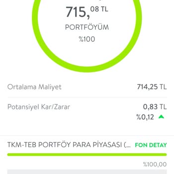 İzinsiz, TEB Tkm Para Piyasası Fonuna Katilim.