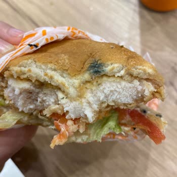 Küflenmiş Ve Bozuk Popeyes