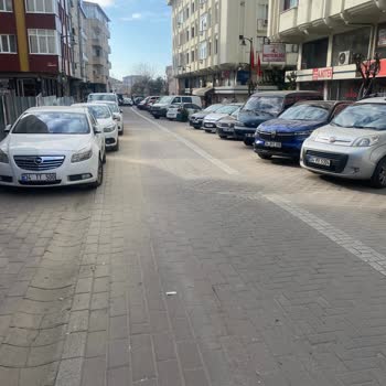 Zeytinburnu Belediyesi Çevre Kirliliği Ve Hizmet Alamamak