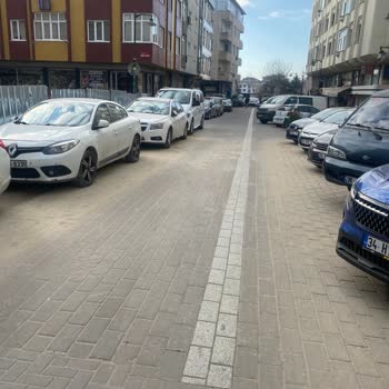 Zeytinburnu Belediyesi Çevre Kirliliği Ve Hizmet Alamamak