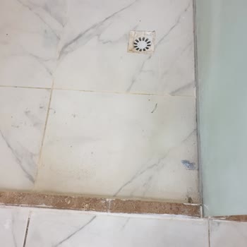 Arya Termal Otel Adı Altında Denizatı Taşımacılık Şirketi