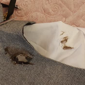 Trendyol Ürünlerim Yanık Geldi