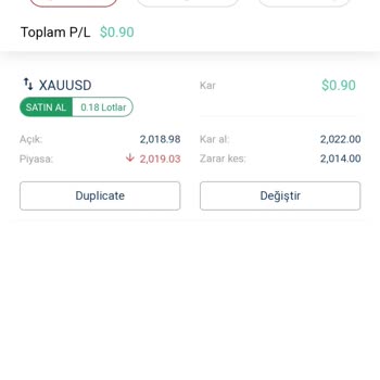 GL Yatırım'da Beklenmedik Lot Şartı Hayal Kırıklığı Yarattı