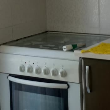 Bosch Fırınla İlgili Yazıklar Silindi