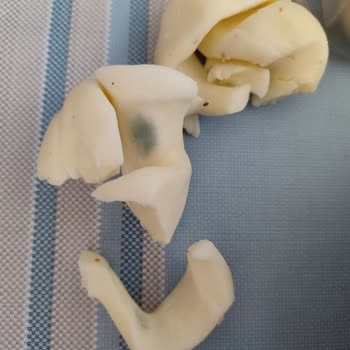 Şok Marketlerde Satılan Mis Marka Peynirin Bozuk Çıkması