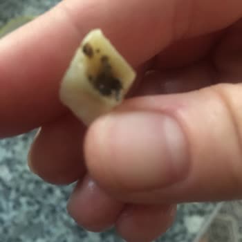 Bizim Vatan Çürük Ya Da Kurtlu Patates