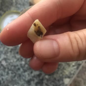 Bizim Vatan Çürük Ya Da Kurtlu Patates