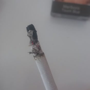 Philip Morris Sigaranın İçinden Çıkan Çıra