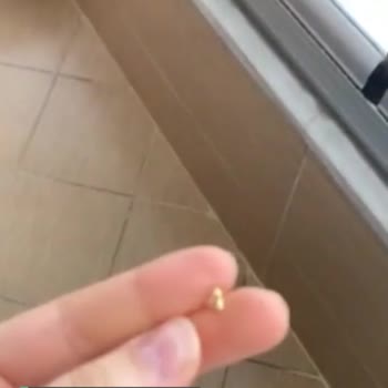 Şekeroğlu Baharat Kabuk Çıktı İçinden