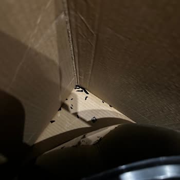 Amazon Kırık Gönderdiğini Kabul Etmiyor