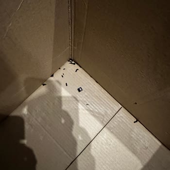 Amazon Kırık Gönderdiğini Kabul Etmiyor