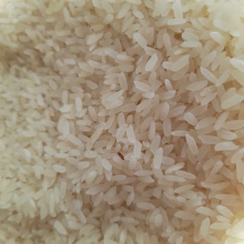 Tat Bakliyat Tat Baldo Pirinç İçin Şikayet