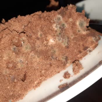 Püryan Pastanesi Çikolatalı Yaz Pasta