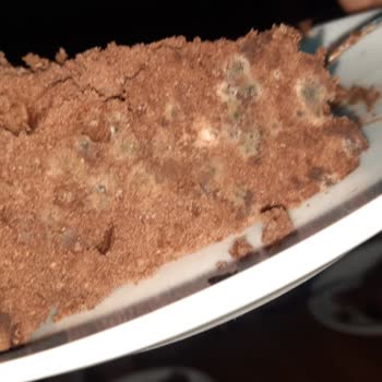 Püryan Pastanesi Çikolatalı Yaz Pasta