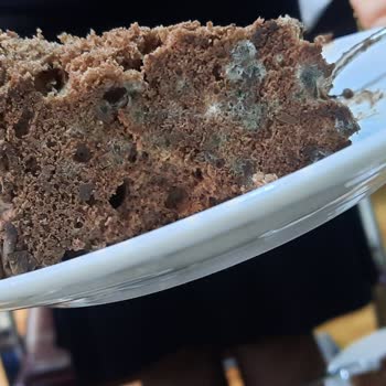 Püryan Pastanesi Çikolatalı Yaz Pasta