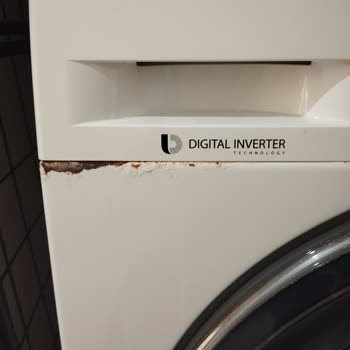 Samsung Çamaşır Makinesi Boya Kalkması