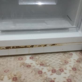 Regal Çürüyen Ürünü Değiştirmek İçin Ücret İstiyor