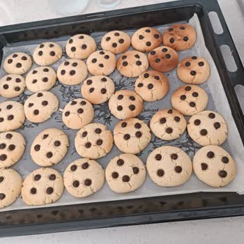 Profilo Ankastre Fırın Termostatı