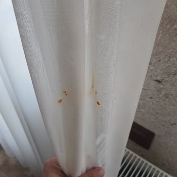 Öykü Evi Cave Hotel Sürdürülebilirlik Ve Temizlik Konusunda Eleştirilen Otel