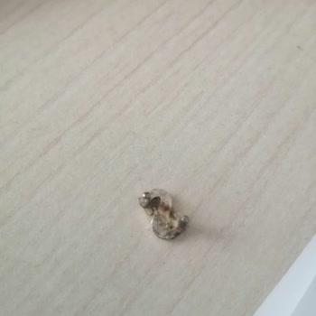 Çanakkale Uysal Market Sucuk İçinden Çıkan