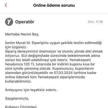 Yemek Sepeti Dolan Dirici Lığı