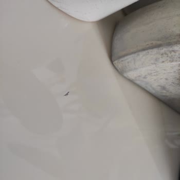 İstikbal Esenyurt'taki Mobilya Mağazasında Yaşanan Müşteri Memnuniyetsizliği