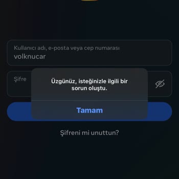 Instagram Giriş Sorunu