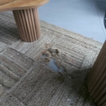 Palmera Suit Bungalov Kalacağımız Ev Çok Pis!