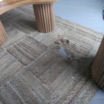 Palmera Suit Bungalov Kalacağımız Ev Çok Pis!