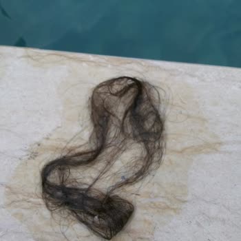 Palmera Suit Bungalov Kalacağımız Ev Çok Pis!