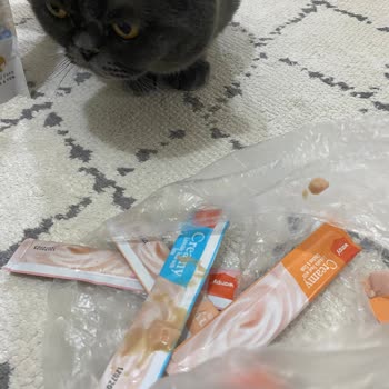 DevGross Market Aldığım Ürün Bozuldu